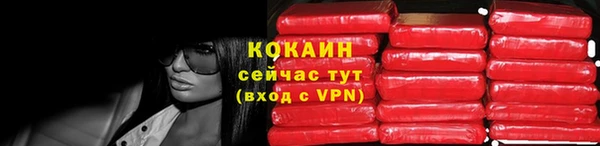 гидра Белокуриха