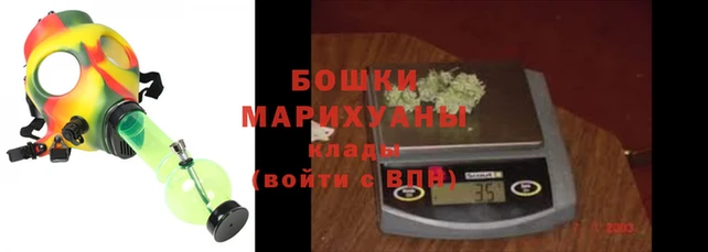 гидра Белокуриха