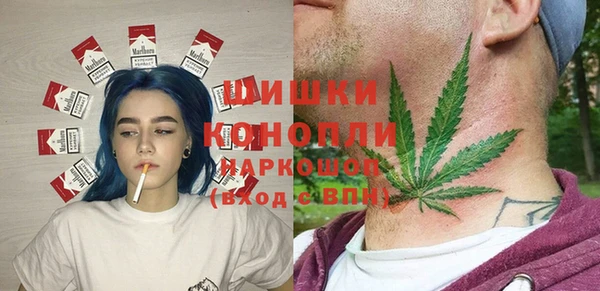гидра Белокуриха