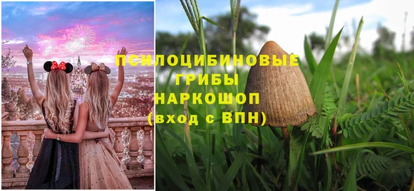 гидра Белокуриха