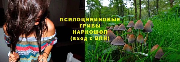spice Беломорск